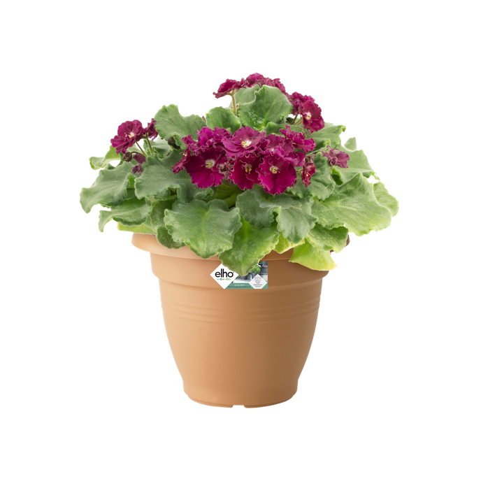 green basics campana 35cm terre cuite doux